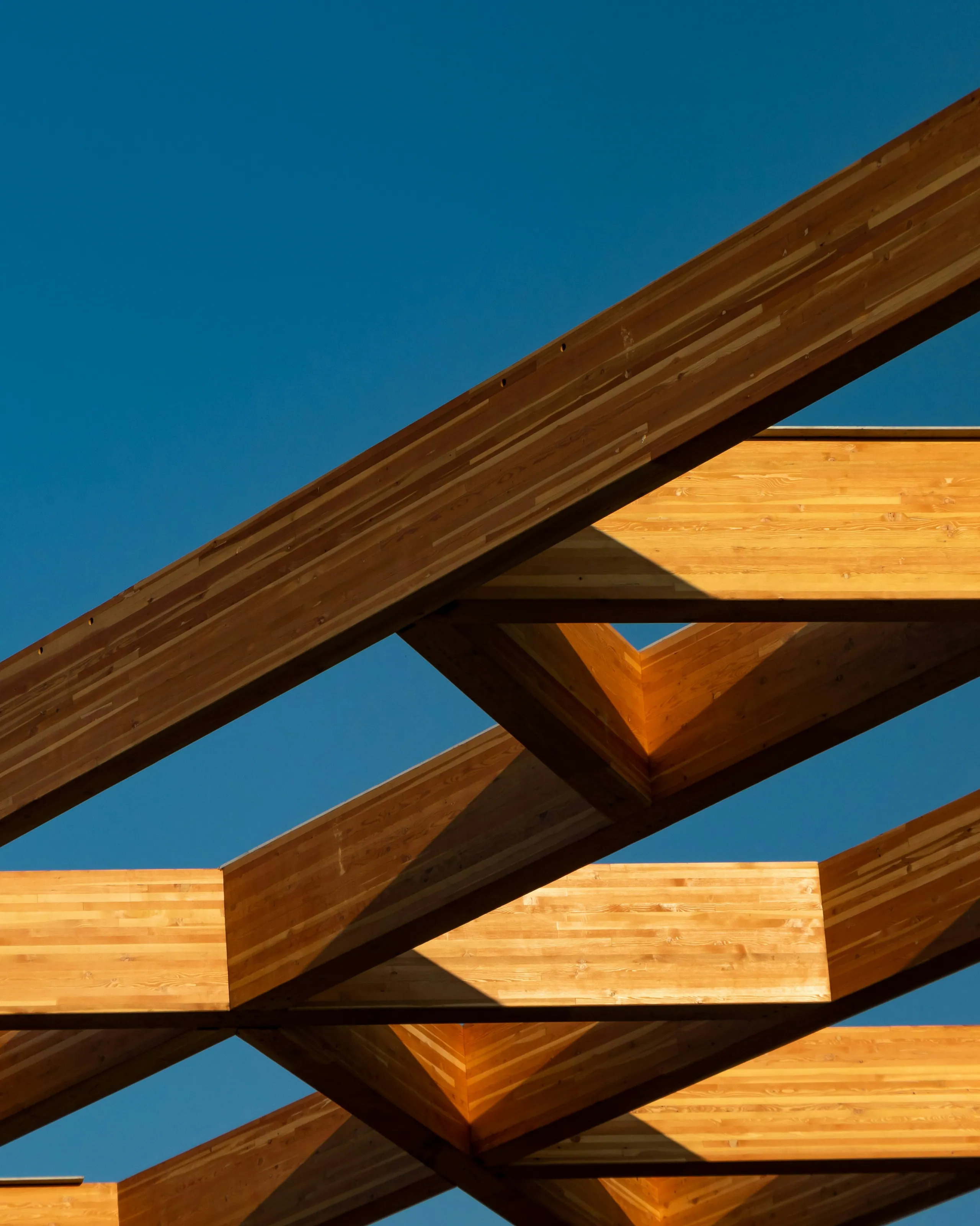 Glulam roof beams against open sky, the new structure an addition adds that a renovation does not